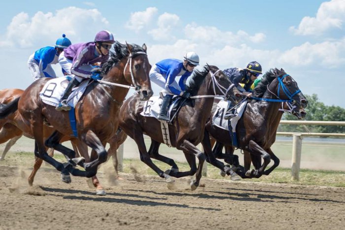 Лошади конного завода «Восход» взяли три призовых места на скачках в станице Павловской!